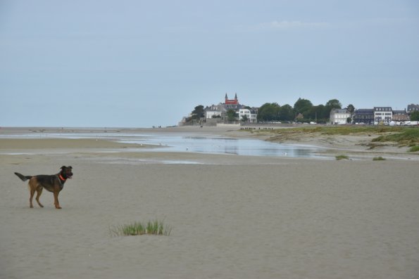 4 Baie de Somme (11)